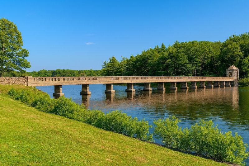 Local Swing Set Installation in Abington, MA